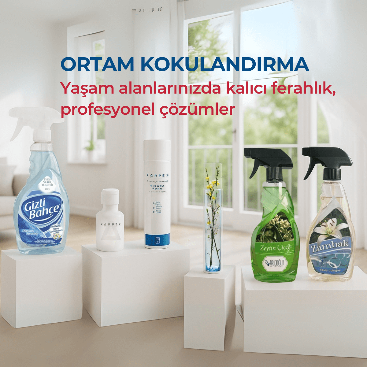 Ortam Kokuları